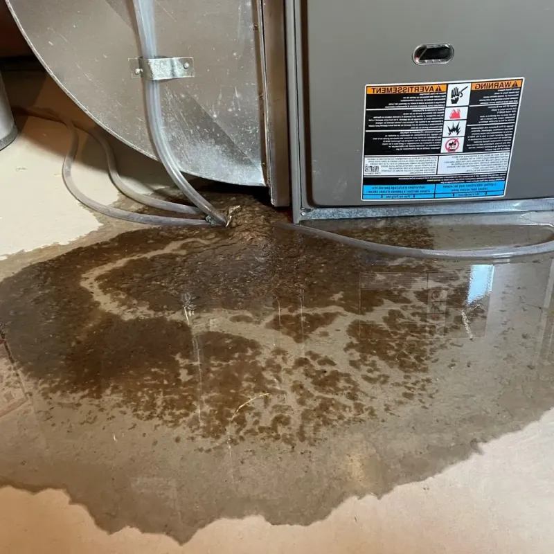 Pipe Burst and Leak Restoration in Kemp Mill, MD